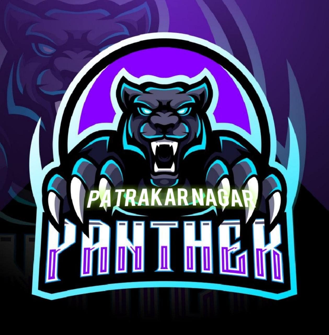 PATRAKAR NAGAR PANTHERS